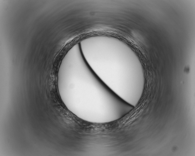 X0000097950822200804071002