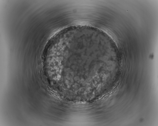 X0000097950823200804071002