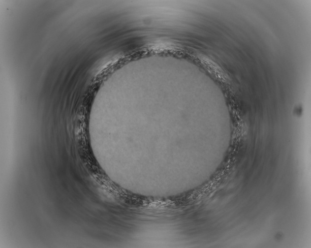 X0000097950824200804071002