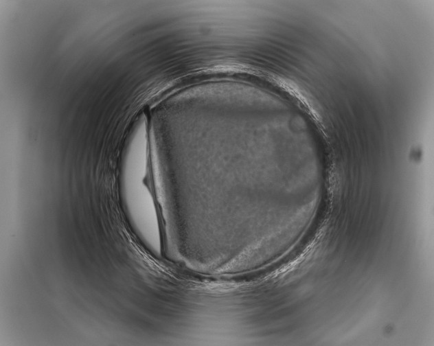X0000097950825200804071002