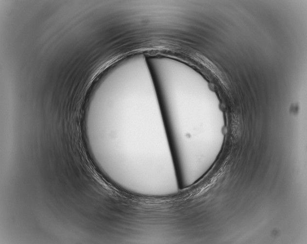 X0000097950826200804071002
