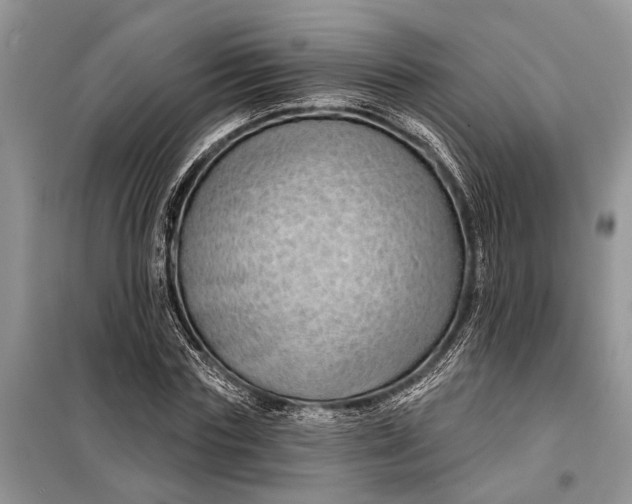 X0000097950827200804071002