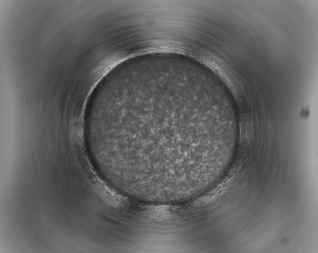 X0000097950828200804071003
