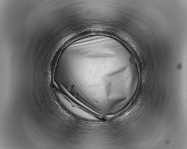 X0000097950829200804071003