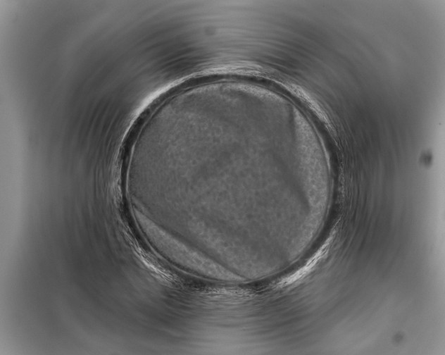 X0000097950830200804071003