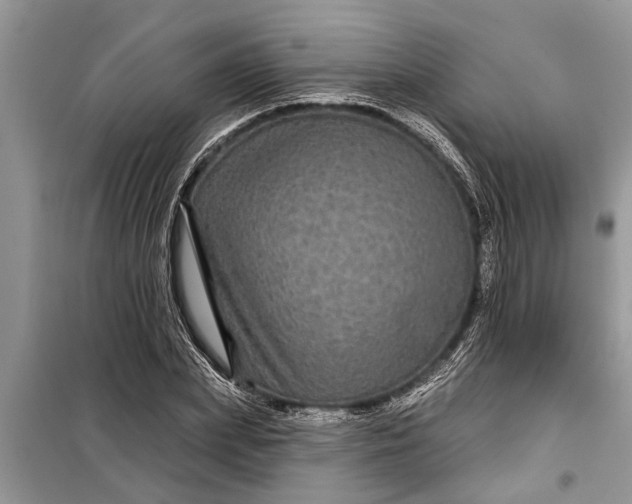 X0000097950831200804071003