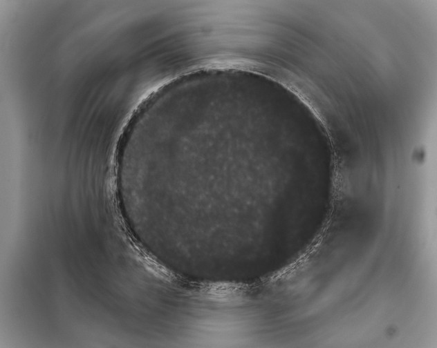 X0000097950832200804071003