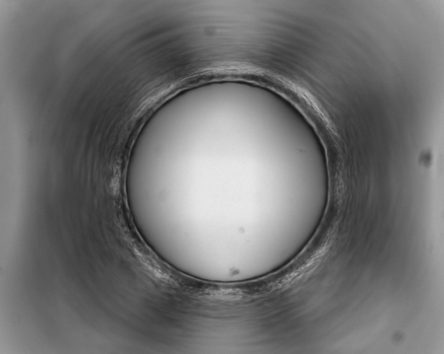 X0000097950833200804071003