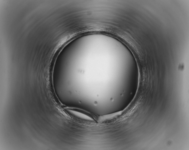 X0000097950834200804071003