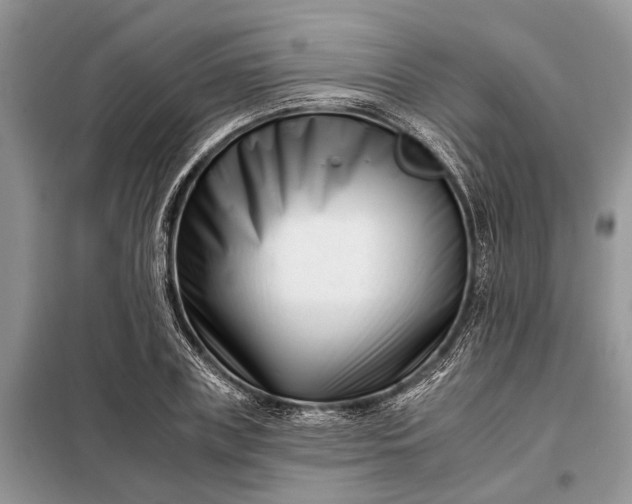 X0000097950835200804071003