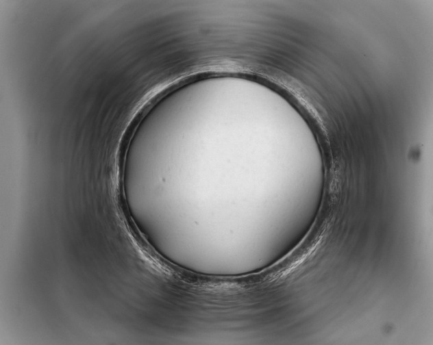 X0000097950837200804071003