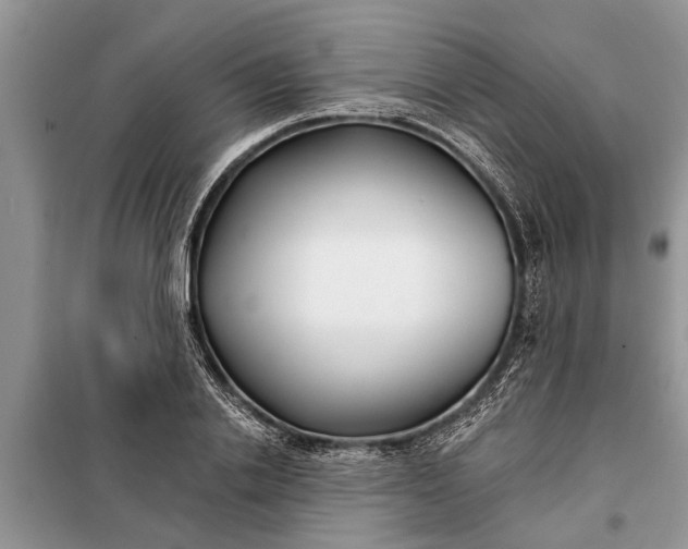X0000097950838200804071003