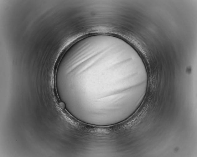 X0000097950839200804071003