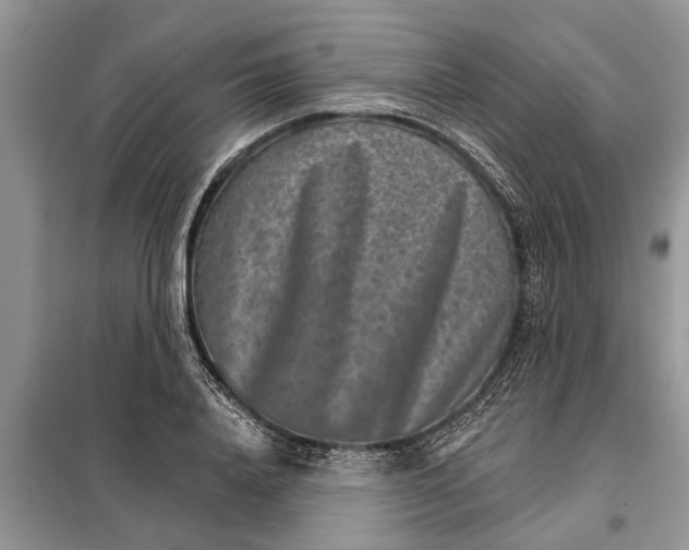 X0000097950840200804071003
