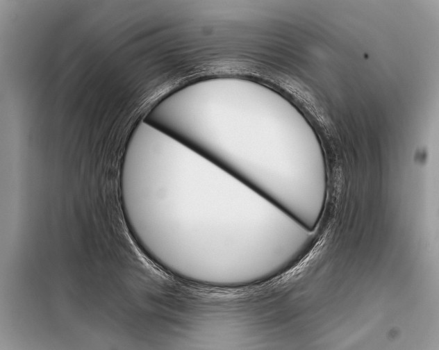 X0000097950841200804071003