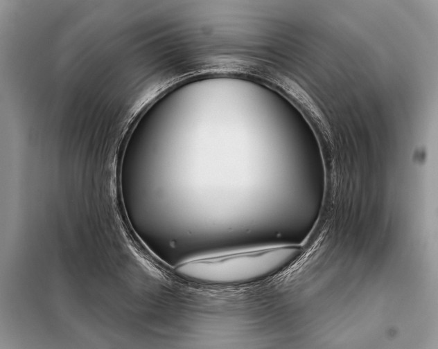 X0000097950842200804071003