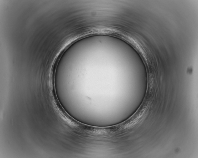 X0000097950843200804071003