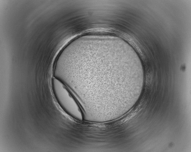 X0000097950844200804071003