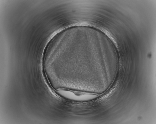 X0000097950845200804071003