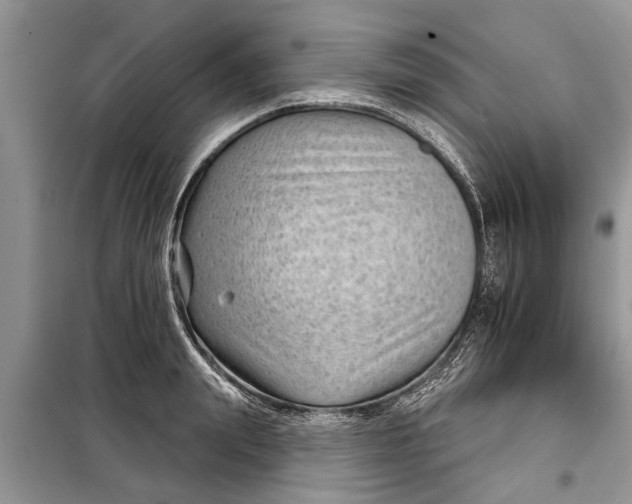 X0000097950847200804071003