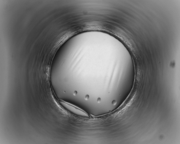 X0000097950849200804071003