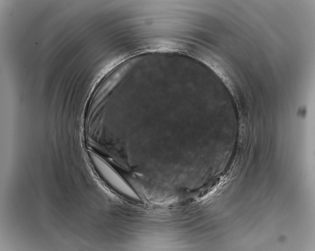 X0000097950850200804071003