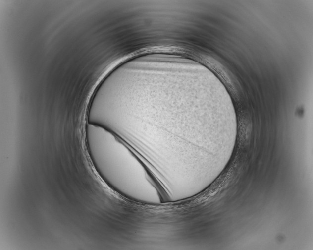 X0000097950852200804071003
