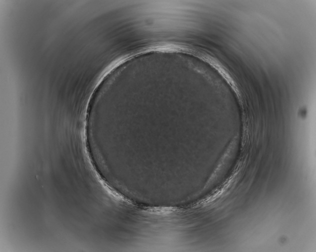 X0000097950853200804071003
