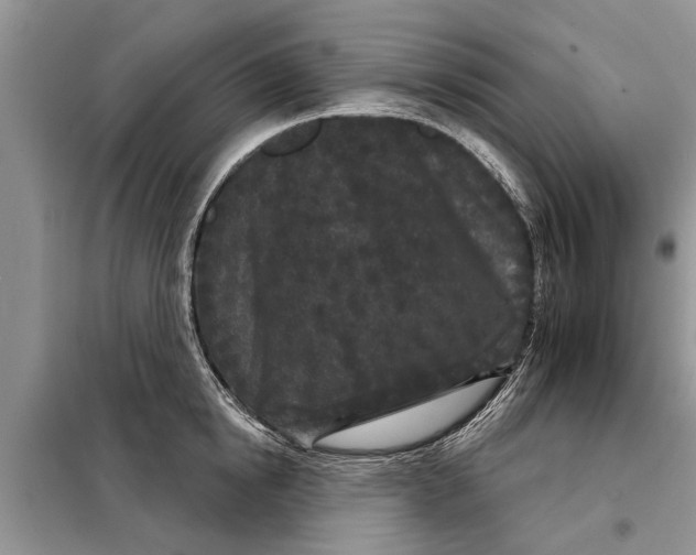 X0000097950854200804071003