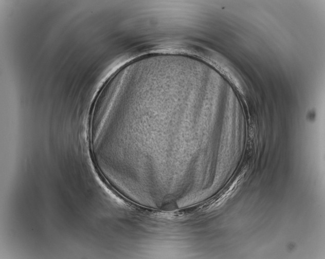 X0000097950855200804071003