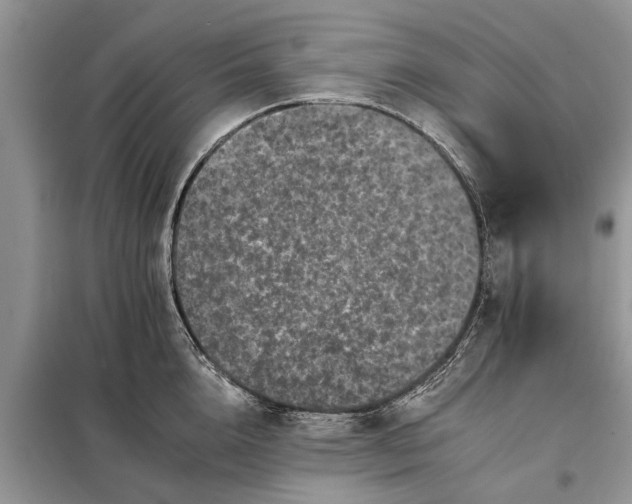 X0000097950856200804071003