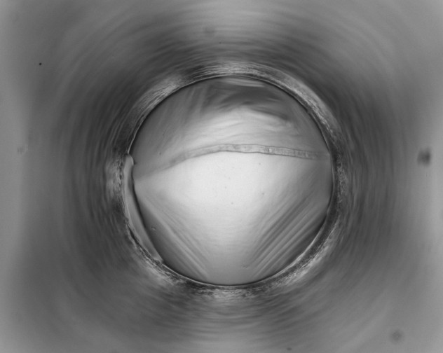 X0000097950857200804071003