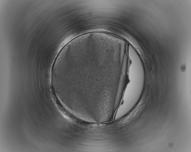 X0000097950858200804071003