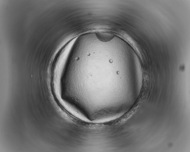X0000097950859200804071003
