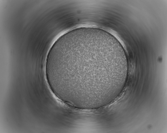 X0000097950861200804071003