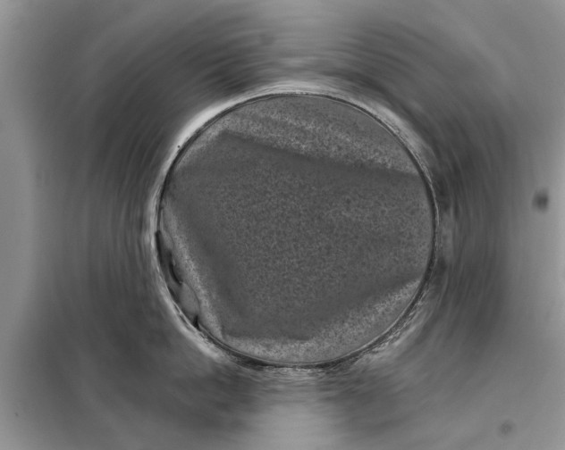 X0000097950862200804071003