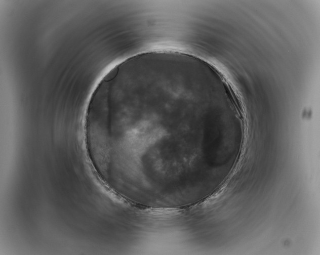 X0000097950864200804071003