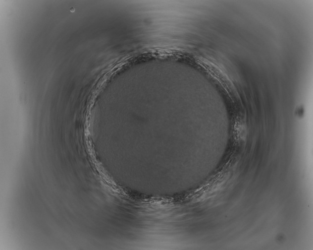 X0000097950865200804071002
