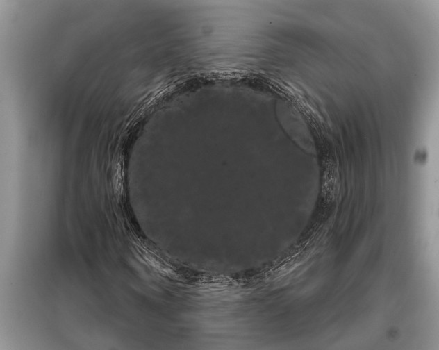 X0000097950866200804071002