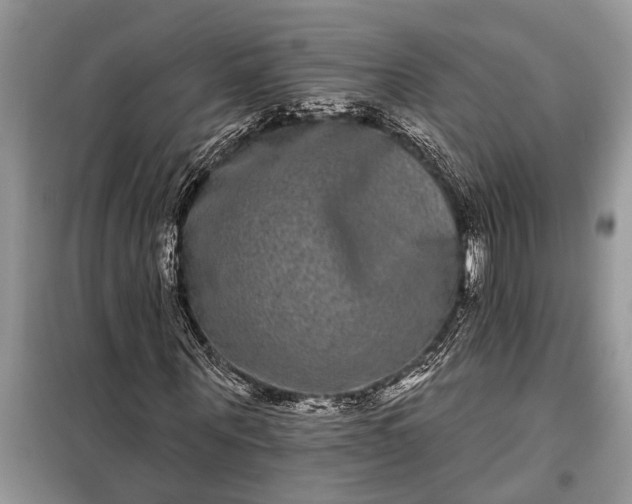 X0000097950867200804071002