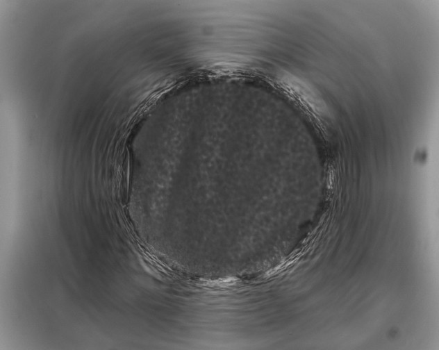 X0000097950868200804071002