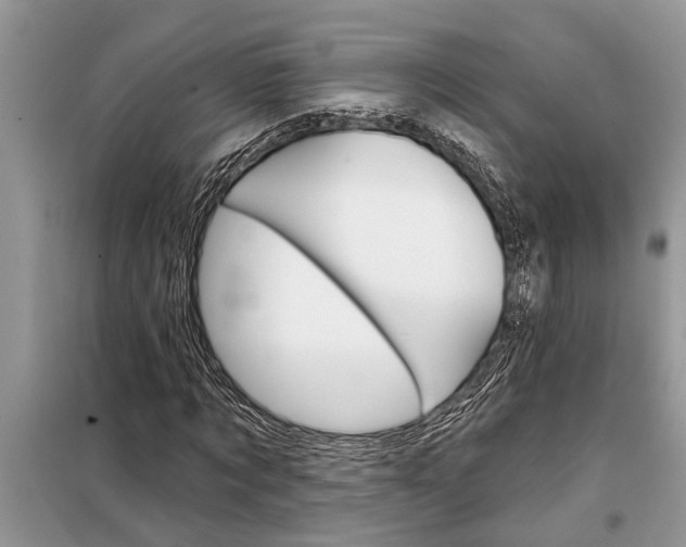 X0000097950869200804071002