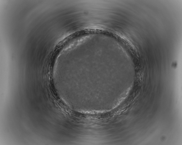 X0000097950870200804071002