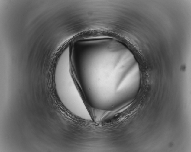 X0000097950872200804071002