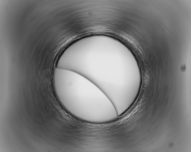 X0000097950873200804071002