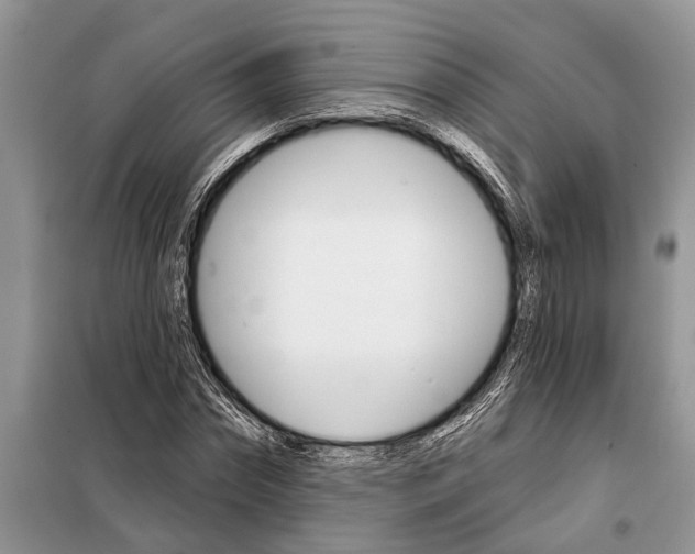 X0000097950874200804071002