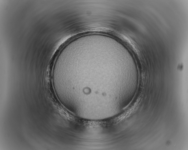 X0000097950875200804071002