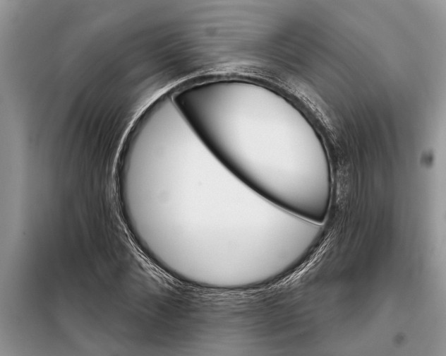 X0000097950876200804071002