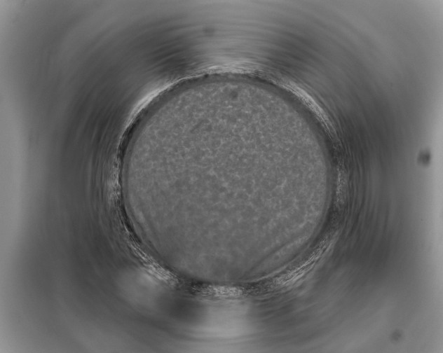 X0000097950878200804071002