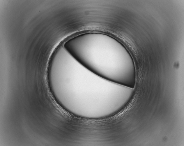 X0000097950880200804071002